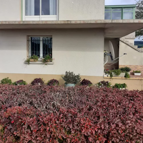 Jardin devant une maison avec buissons colorés et fenêtres fleuries